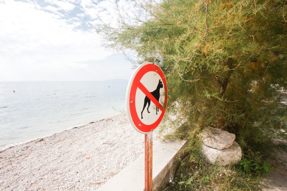 Zakaz kąpania z psami na plaży pod willą