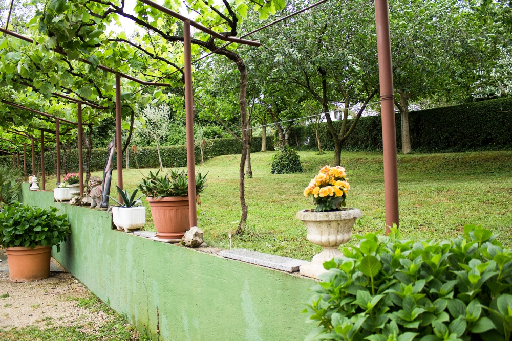 Ogród przy obiekcie