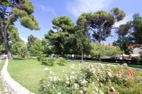 Zeleň parku v Trogiru