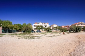 Borovice v okolí pláže