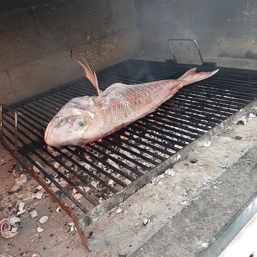 Čerstvé ryby na grilu 