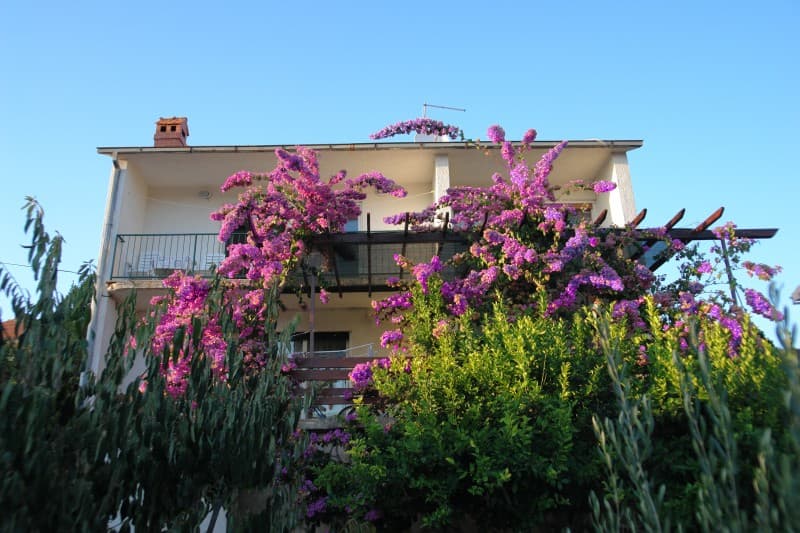 Apartmán Gina