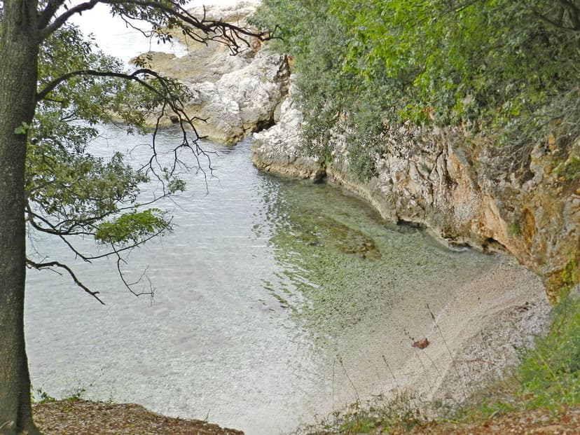 Fotka objektu