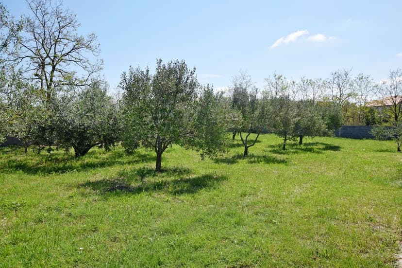 Fotka objektu