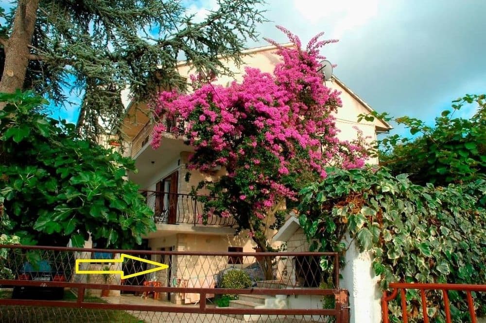 Apartmány 1355-2094