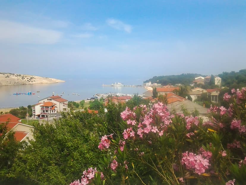 Fotka objektu