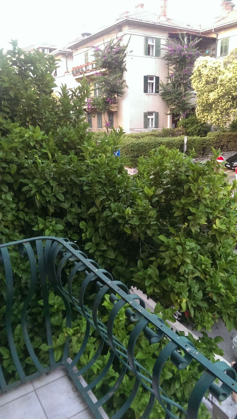 Fotka objektu