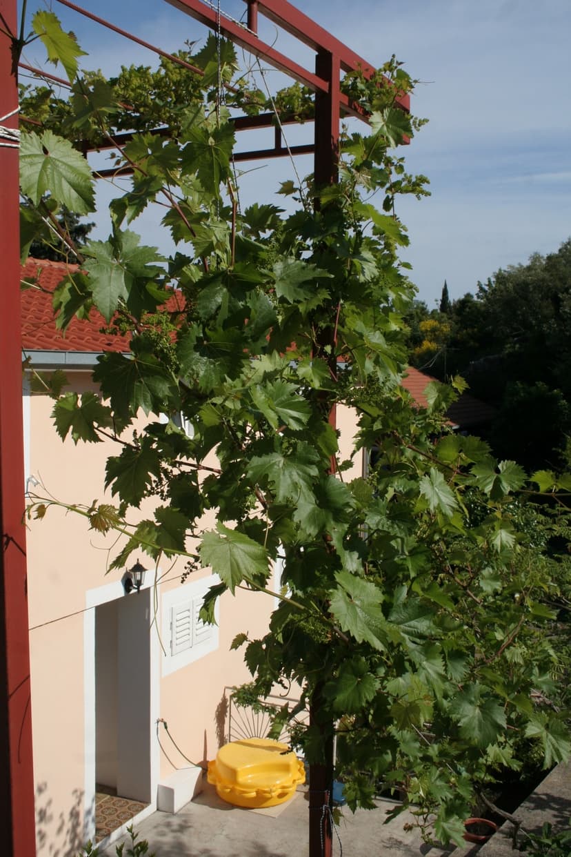 Fotka objektu