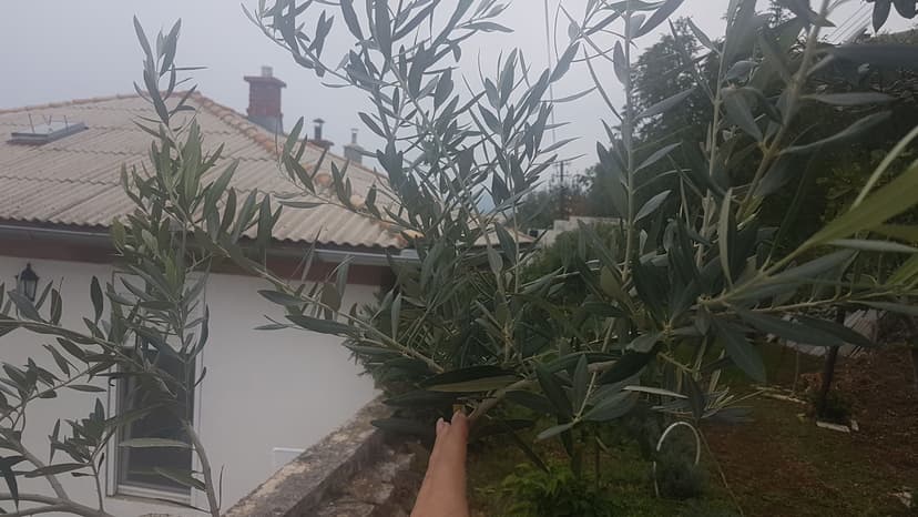 Fotka objektu