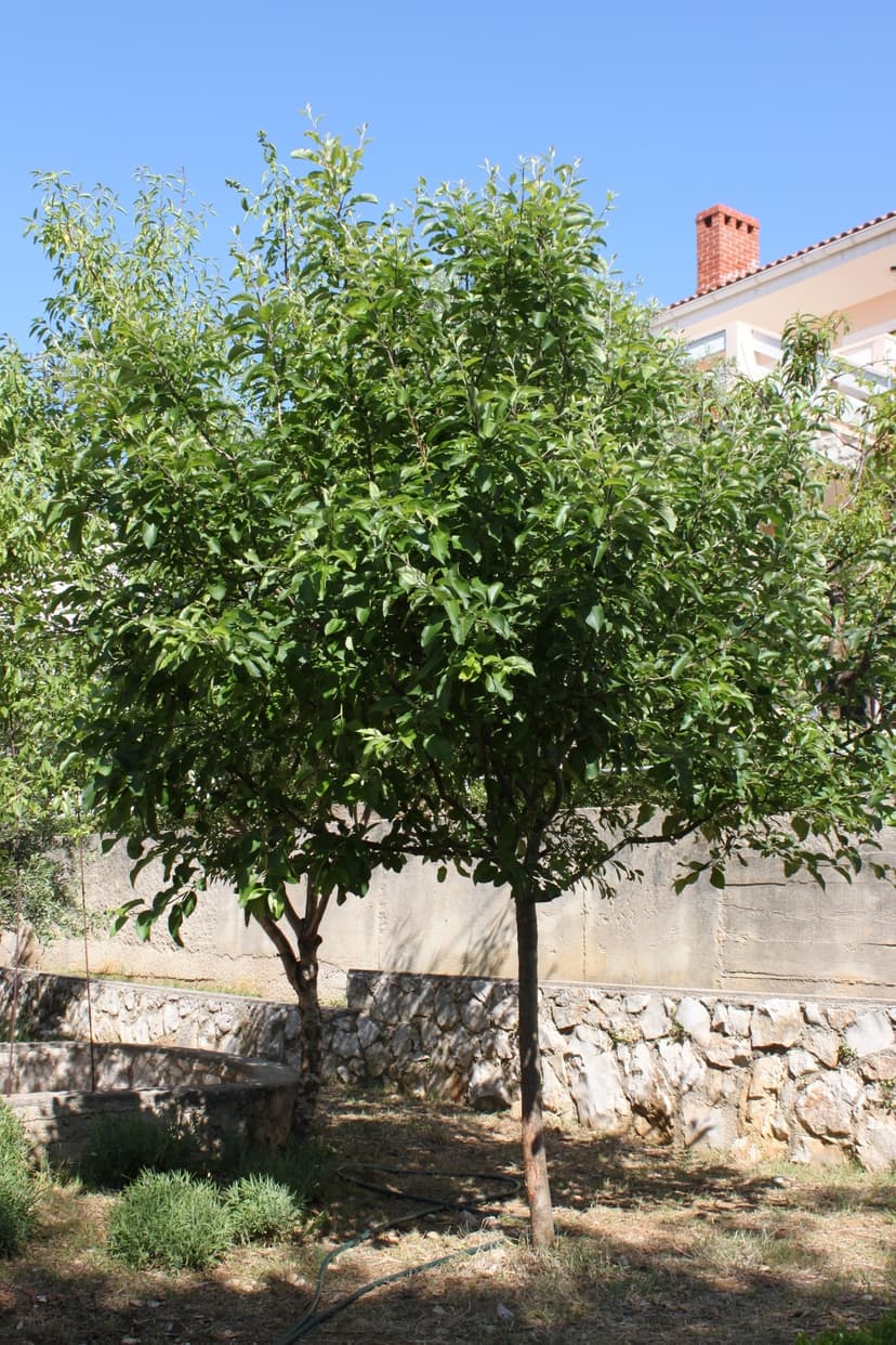 Fotka objektu