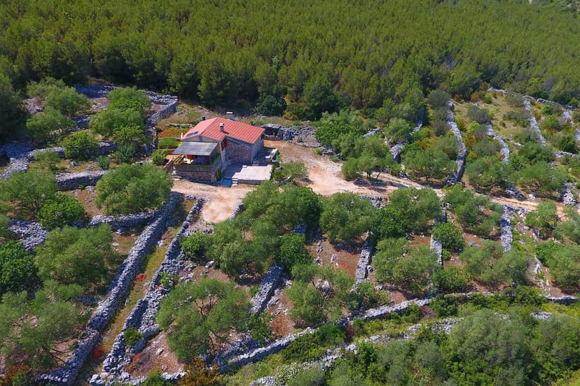 Fotka objektu