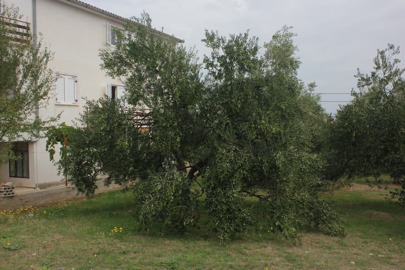 Fotka objektu