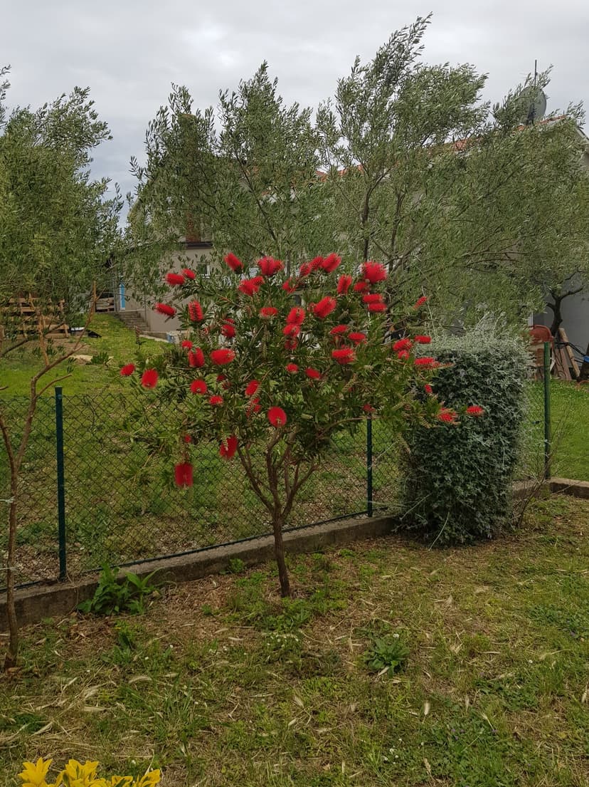Fotka objektu