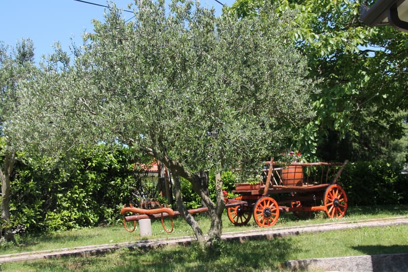 Fotka objektu