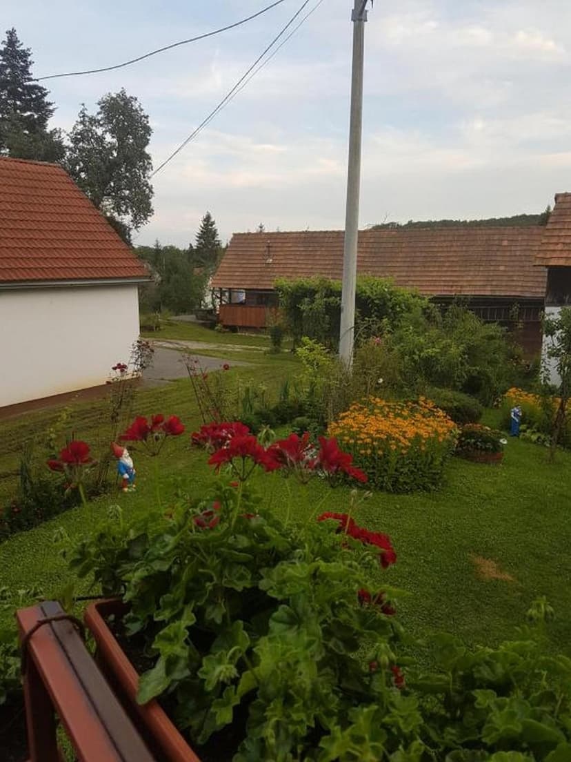 Fotka objektu