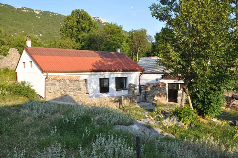 Fotka objektu