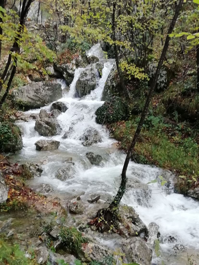 Fotka objektu