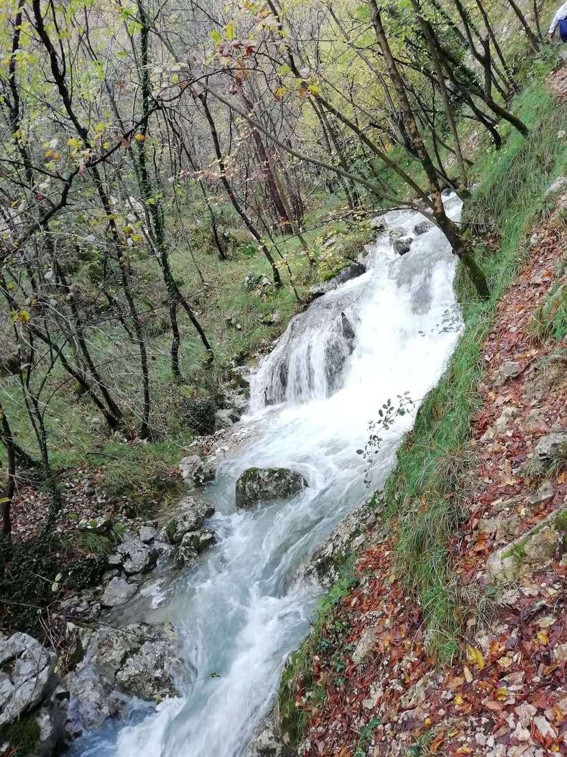 Fotka objektu