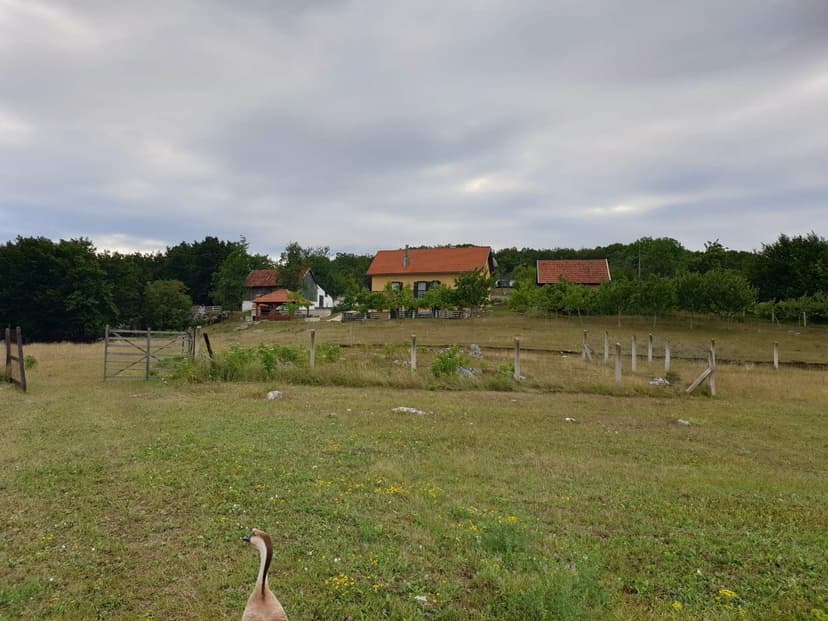 Fotka objektu
