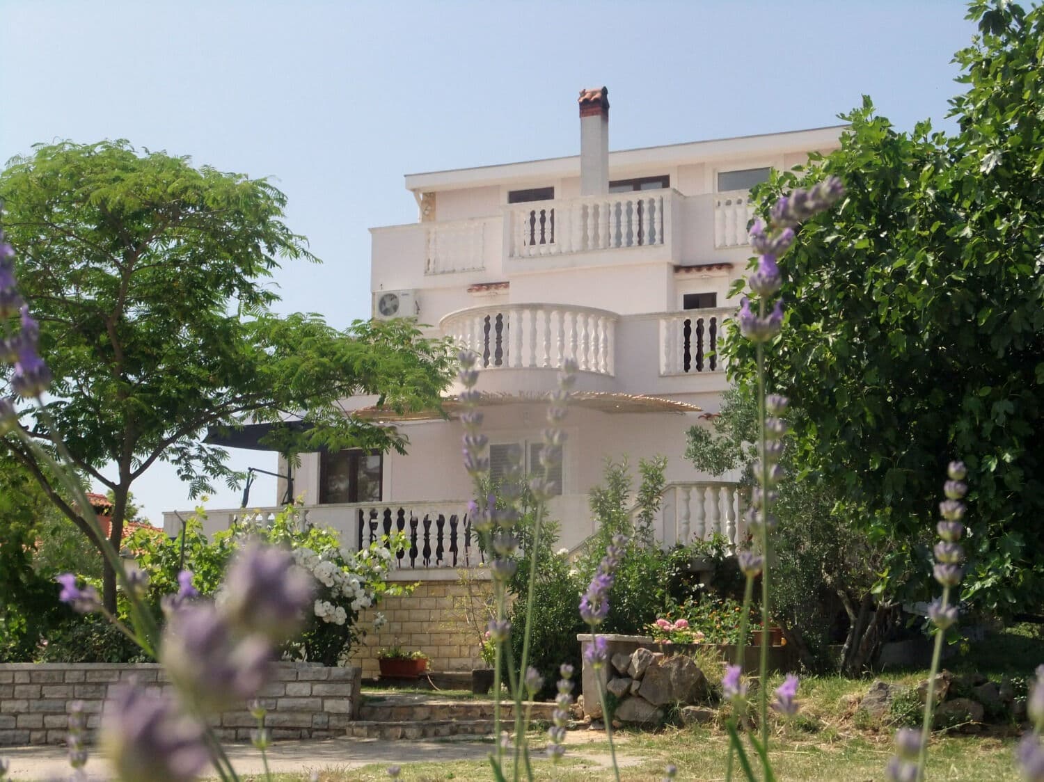 Apartmány 1355-5563