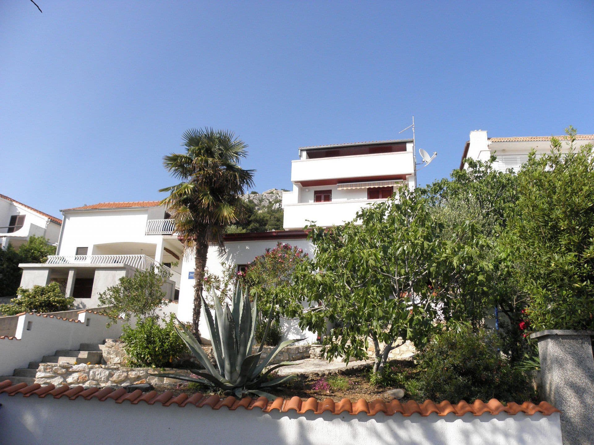 Apartmány 1355-5884