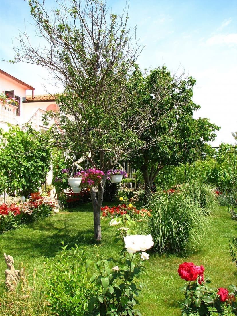 Fotka objektu