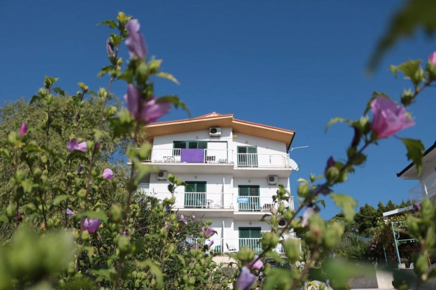 Apartmány 1355-6534