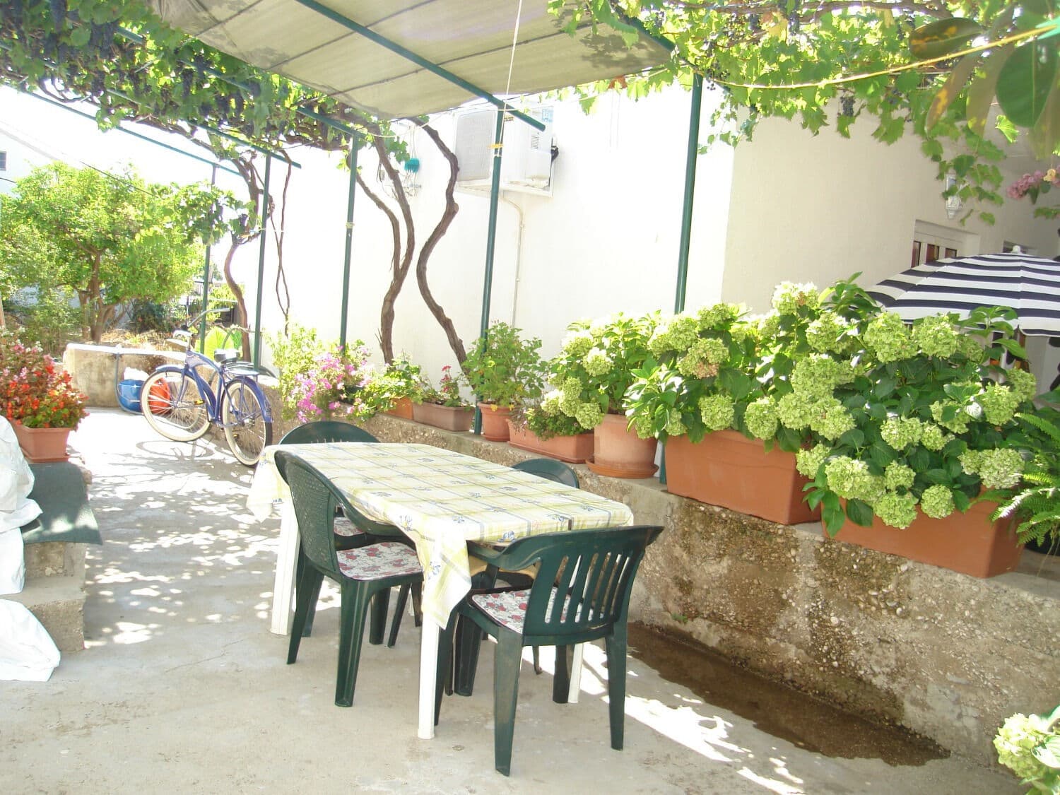Apartmány 1355-6711