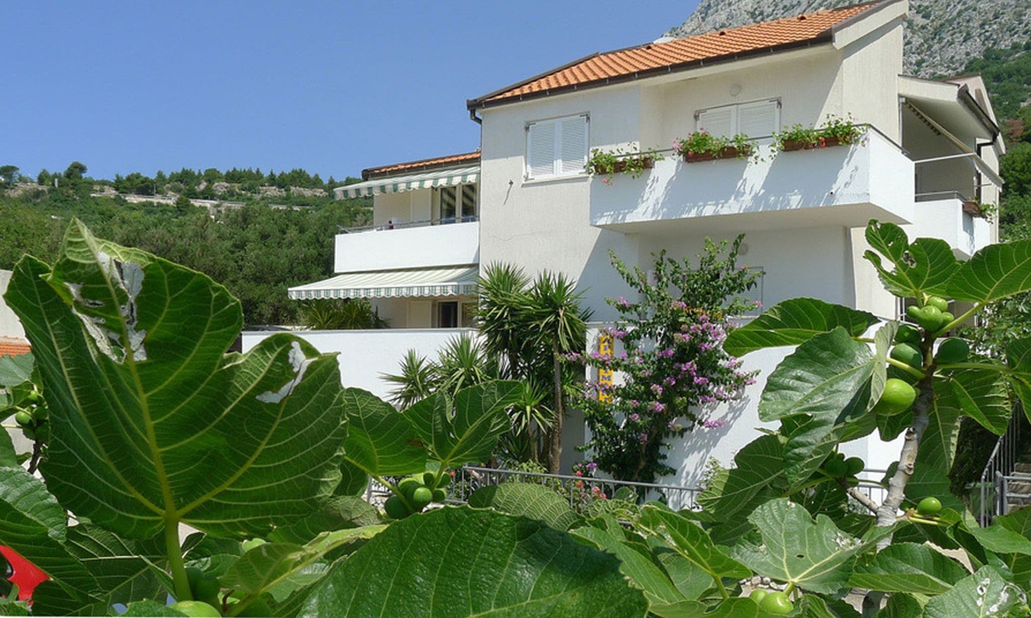 Apartmány 1355-6786