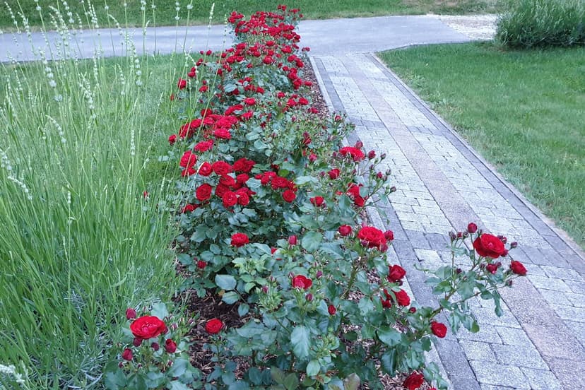 Fotka objektu