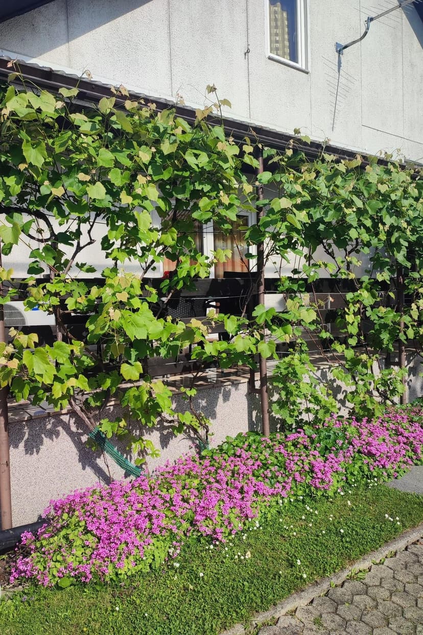 Fotka objektu