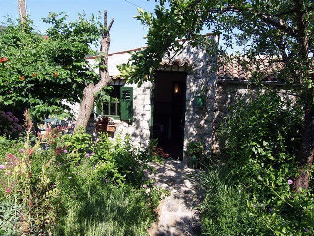 Apartmán 1349-21