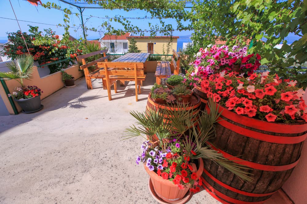 Apartmány Violeta