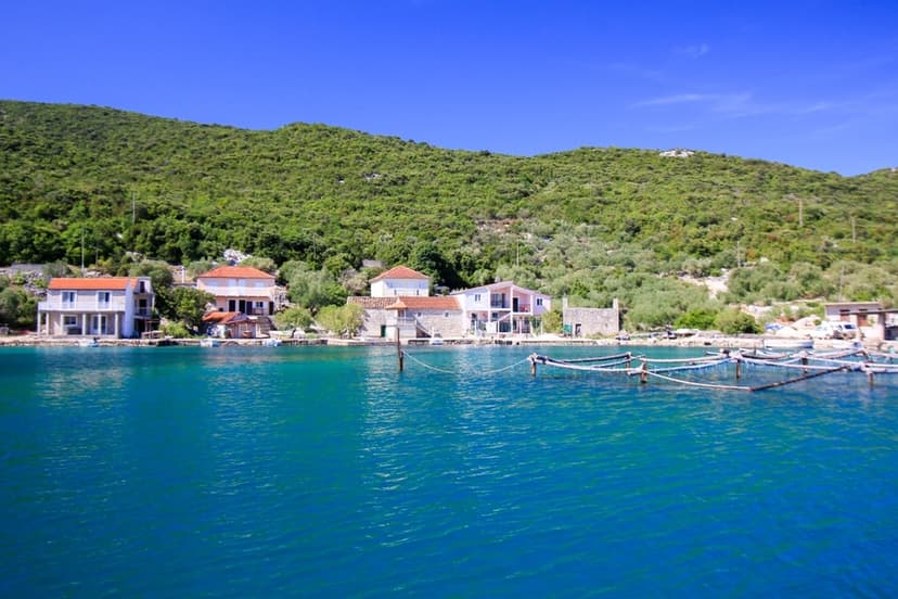 Zátuka Žuronja