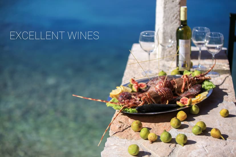 Excellent wines