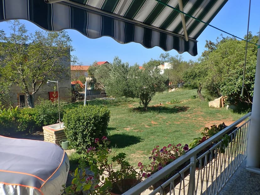 Pohled na zahradu
