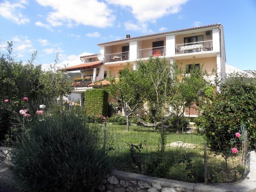 Apartmány jsou obklopeny zelení