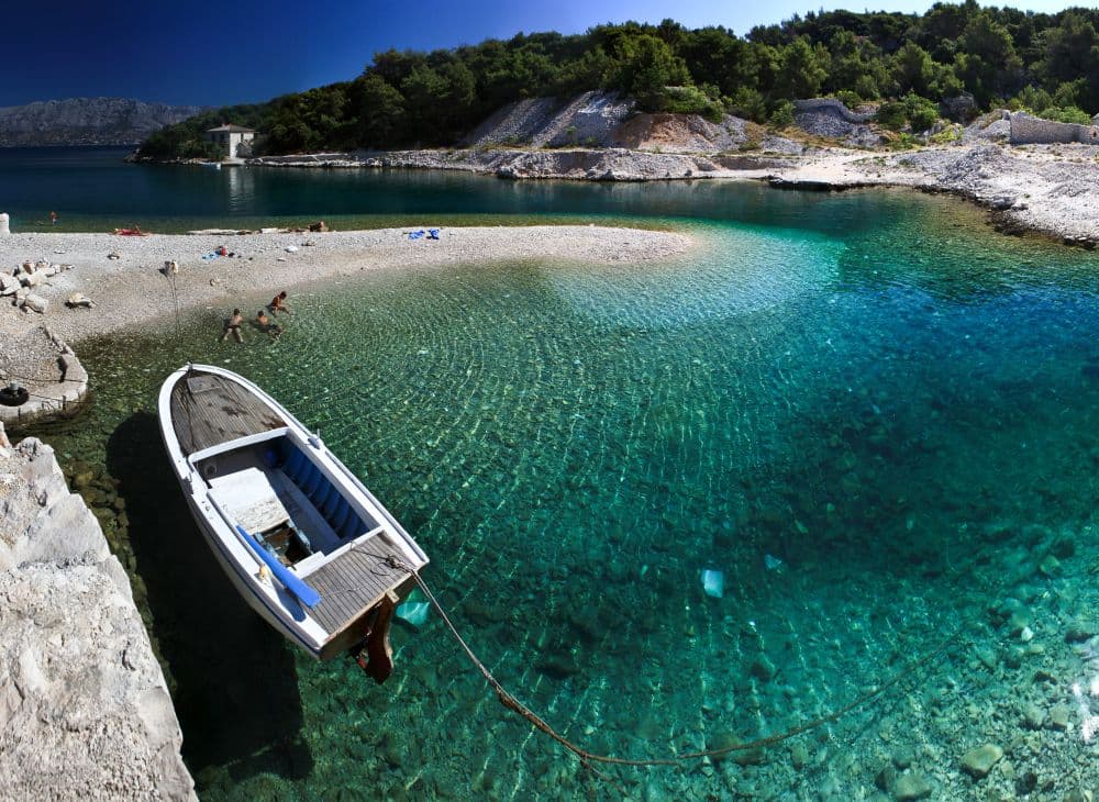 Tičja luka
