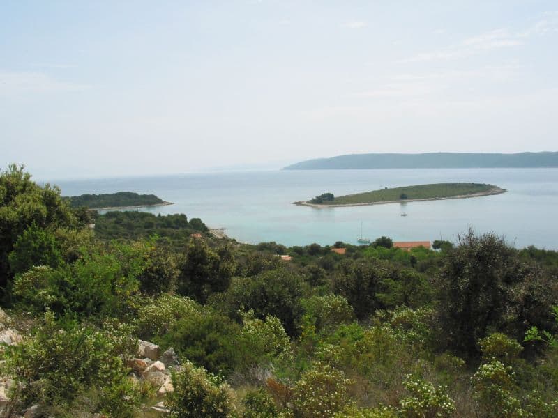 Krknjaši
