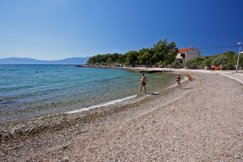 Česminica