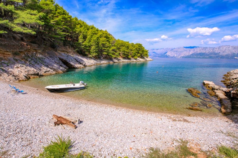 Bay Divja Vela - Sućuraj