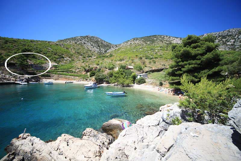 Bay Spilice