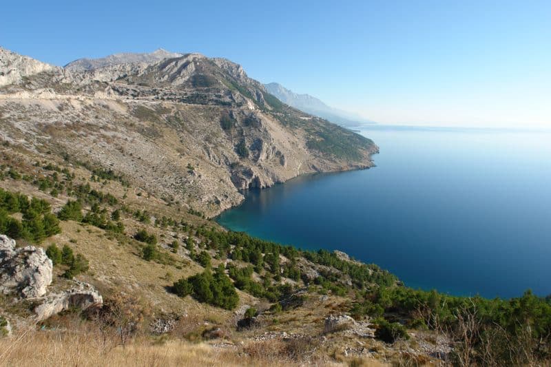 Vrulja