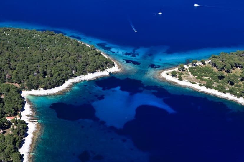 Koludarac a Lošinj
