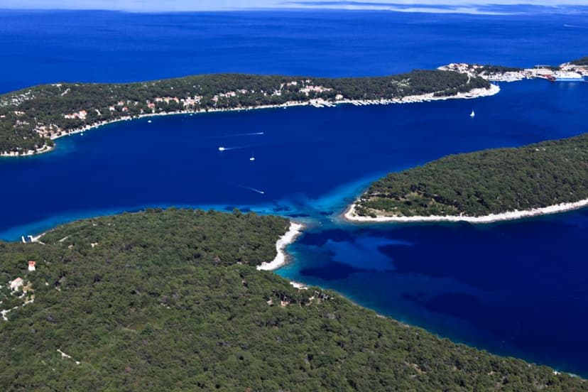 Koludarac a Lošinj