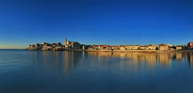 Babići