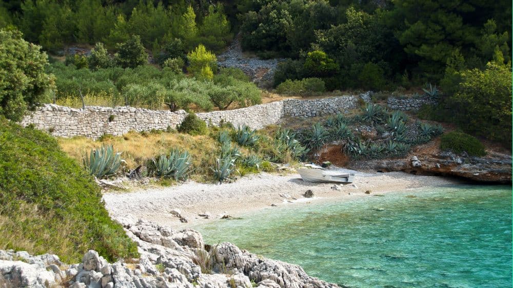 Bay Medvidina - Gdinj
