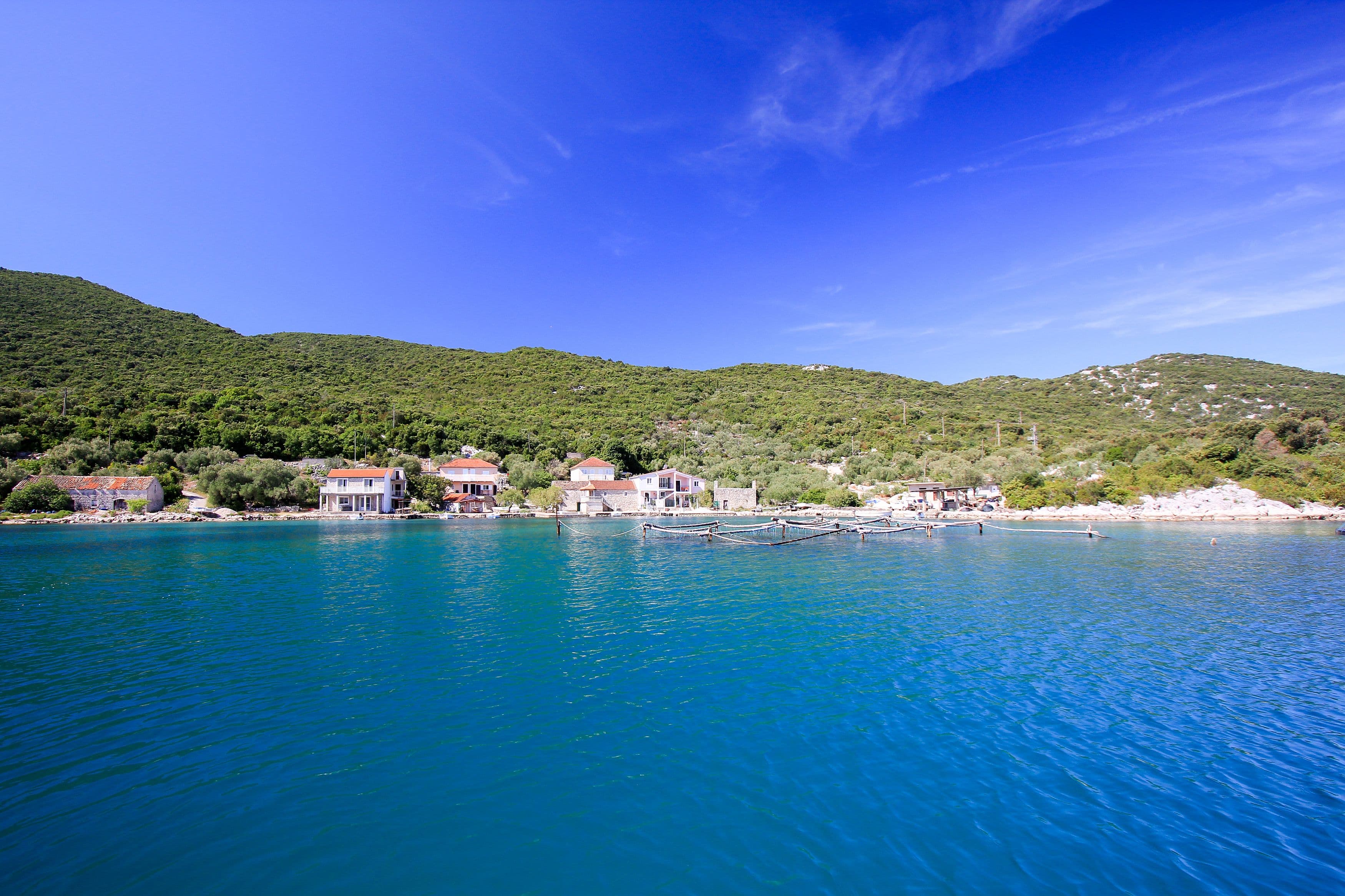 Bay Žuronja