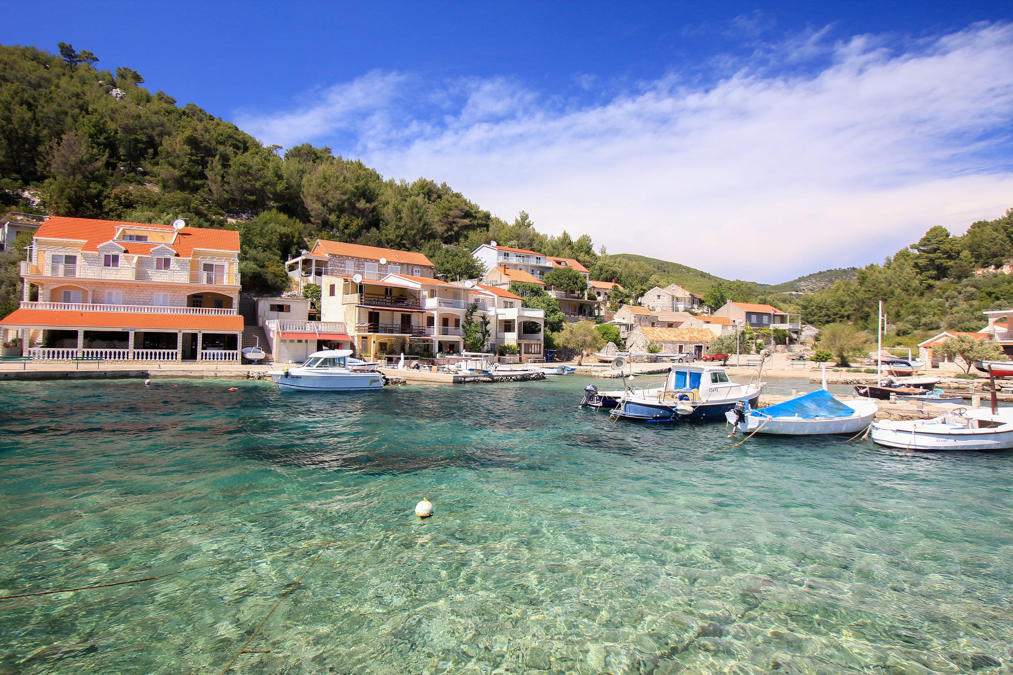 Gršćica
