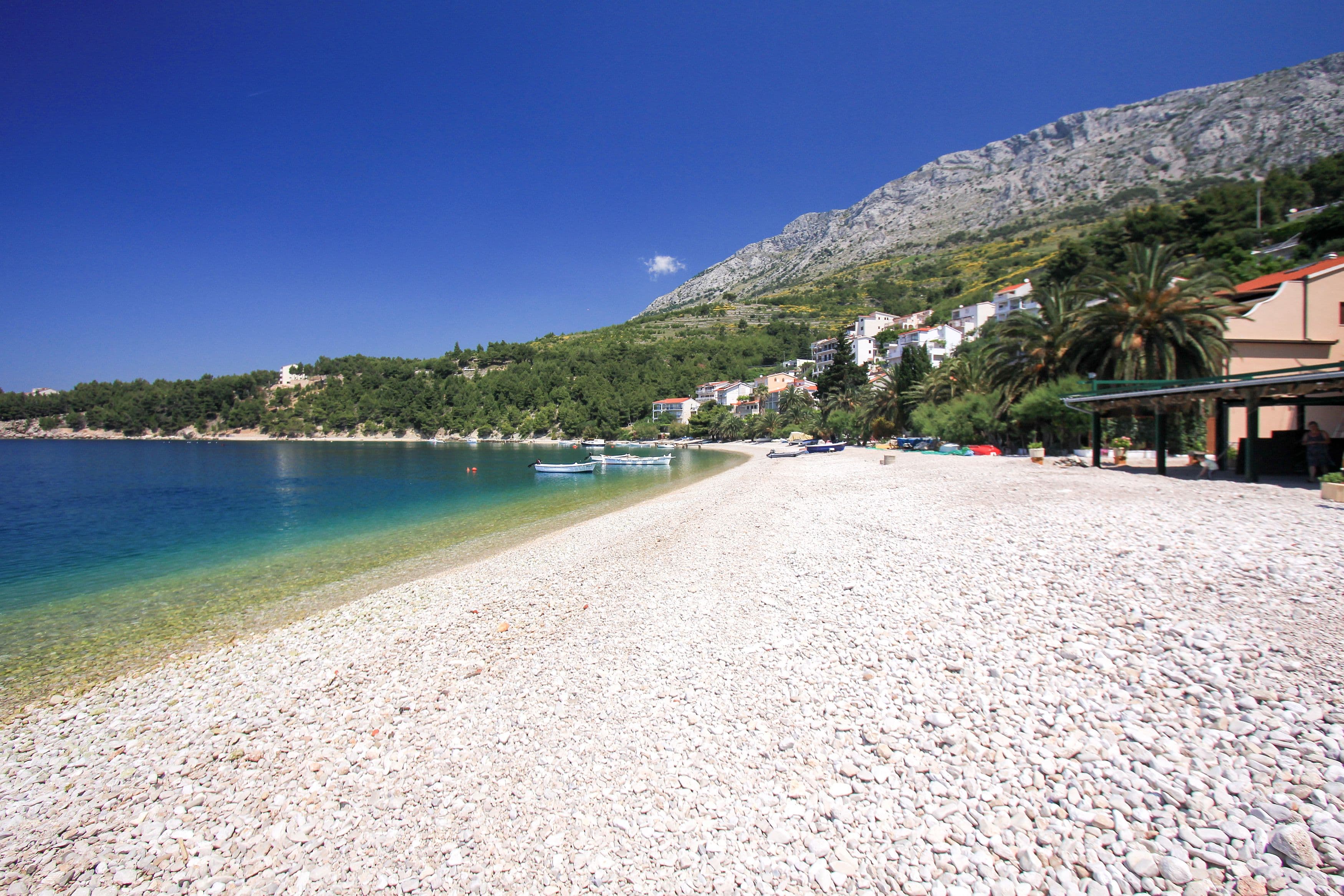 Stanići